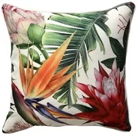 Bromeliad White 45 x 45