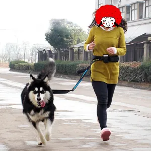 Elastic Reflective Pet Running Traction Belt