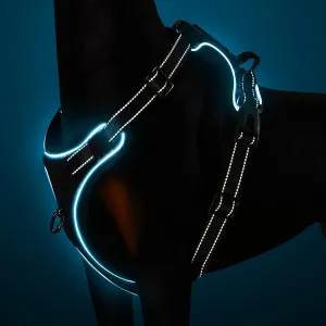 KABIKIU No Pull Light-Up Dog Harness - 3 Modes, Reflective Strap, Control Handle - Adjustable & Breathable for Small, Medium, Large Dogs!