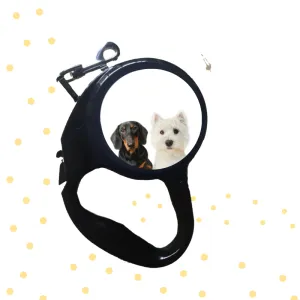 Leashes