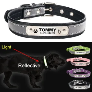 Reflective Engraved Collar
