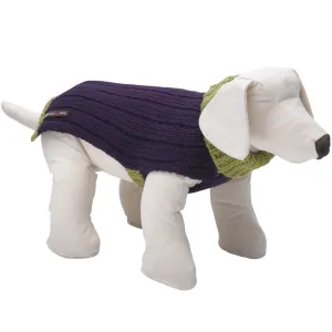 Rydon Dog Jumper (Purple/Lime)
